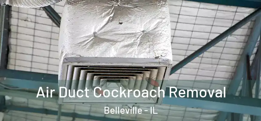 Air Duct Cockroach Removal Belleville - IL