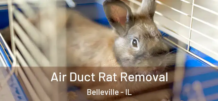 Air Duct Rat Removal Belleville - IL