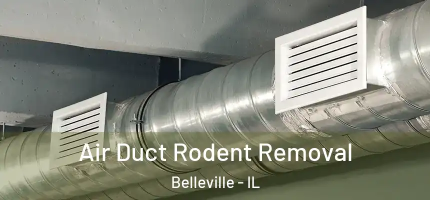 Air Duct Rodent Removal Belleville - IL