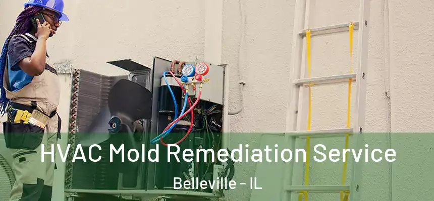  HVAC Mold Remediation Service Belleville - IL