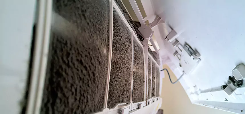 Preventive Air Duct Bacteria Removal in Belleville