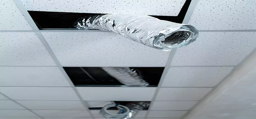 Our Air Duct Pet Hair Removal Services in Belleville, IL