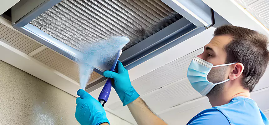 Proactive Dryer Vent & Auxiliary Duct Pollen Cleanup in Belleville, IL