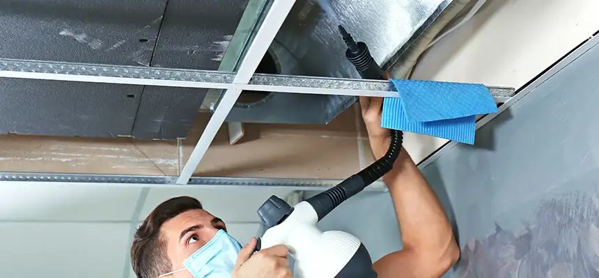 Our Air Duct Rodent Removal Services in Belleville, IL