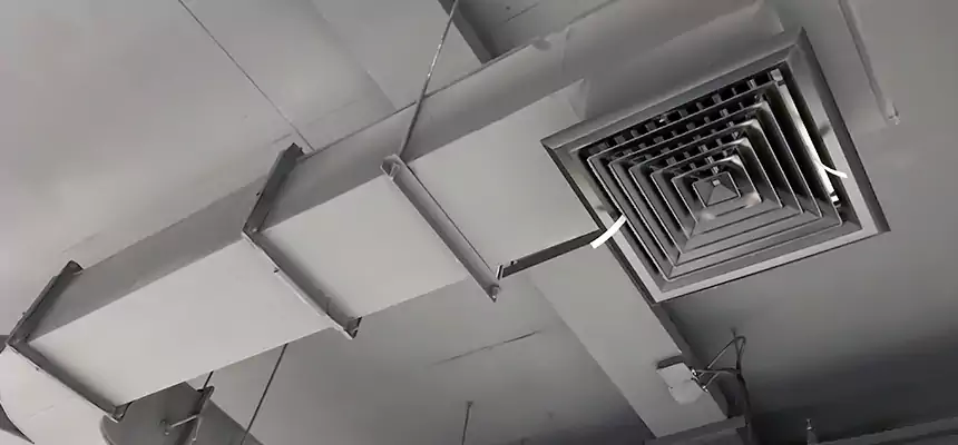 Restorative Allergy Relief Vent Cleaning – Coil, Blower & Housing Detail in Belleville