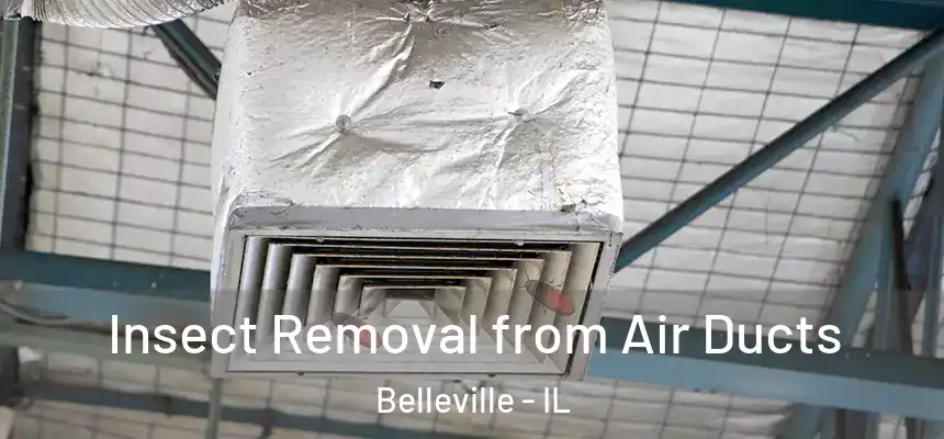 Insect Removal from Air Ducts Belleville - IL