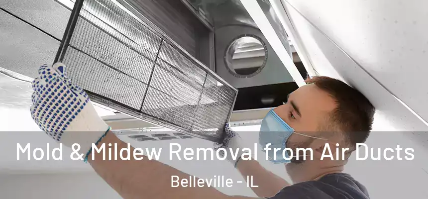 Mold & Mildew Removal from Air Ducts Belleville - IL