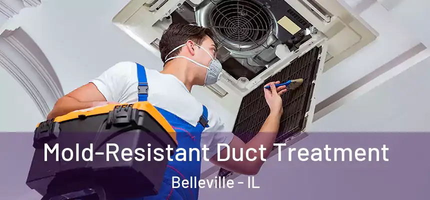 Mold-Resistant Duct Treatment Belleville - IL