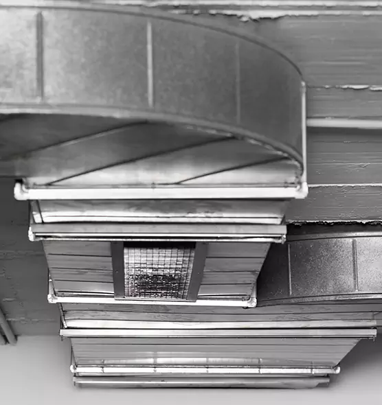 Professional Air Duct Pet Hair Removal in Belleville, IL