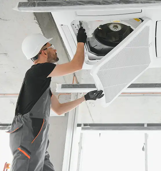 About Air Duct Rodent Removal in Belleville, IL