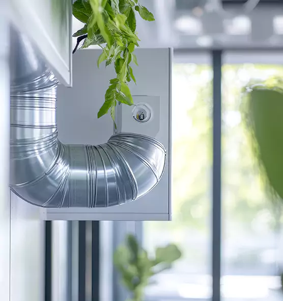 Professional Eco-Friendly Duct Cleaning Services in Belleville, IL