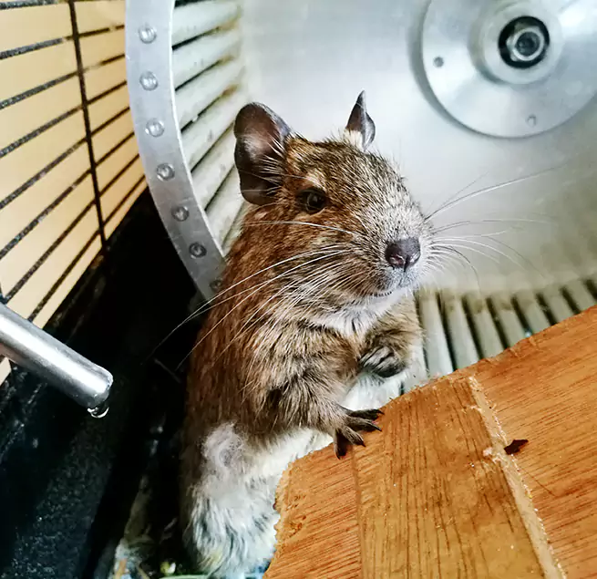 Why Homeowners & Businesses Trust Us Belleville, IL