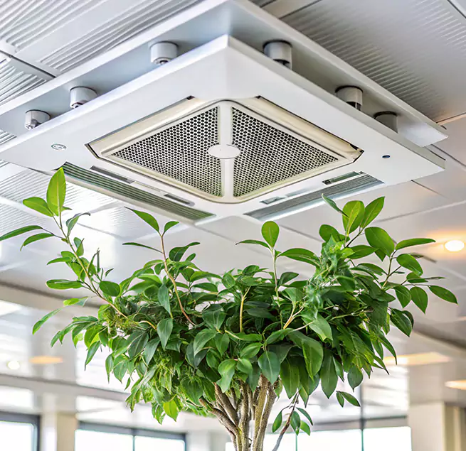 Why Homeowners & Businesses Trust Us in Belleville, IL