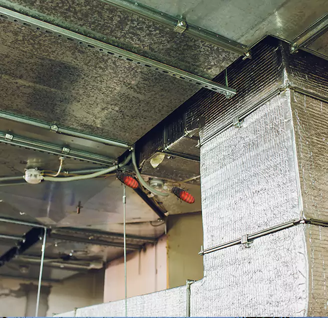 Why Homeowners & Businesses Trust Us Belleville, IL?