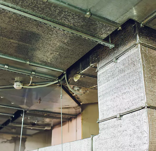 Why Homeowners & Businesses Trust Us in Belleville, IL?